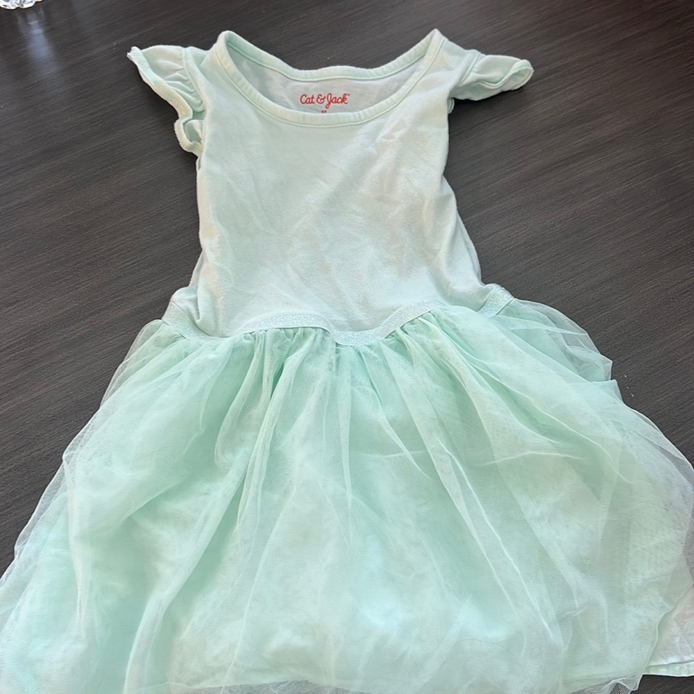 Teal tulle skirt dress
